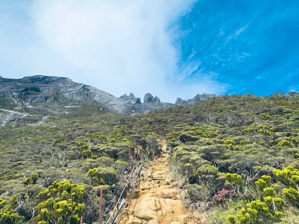 Free Stock Photo of Breathtaking mountain view with pathway | Download ...