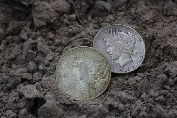 istock Two 1922 Silver Peace Dollars On Ground in Dirt 1901023947