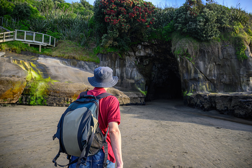 Man walking towards the entrance of Muriwai cave. Pohutukawa trees in bloom. Muriwai Beach in summer. Auckland.