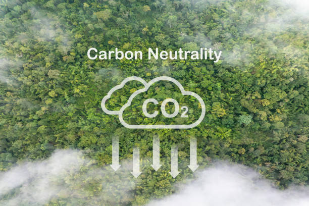 istock Carbon Neutrality Concept. Tropical forests can absorb large amounts of carbon dioxide from the atmosphere. 1901150057