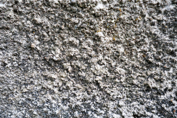 istock Unfinished wall with cement and red bricks exposed with fungus, rustic, background wallpaper, focused, defocused photo 1901208935