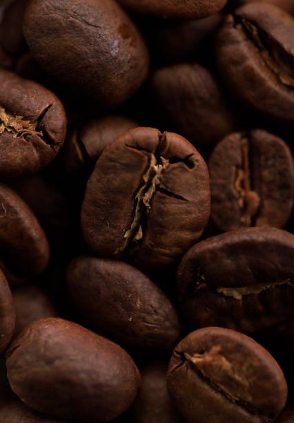 istock Very Close Up Coffee Bean with Water Drop 1901320960