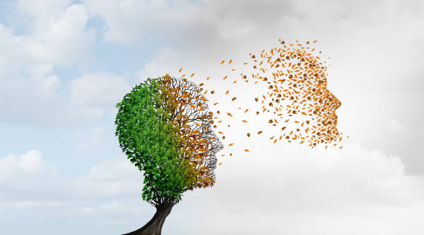 istock Psychology Of Aging 1901374558