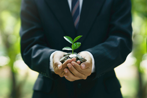 Businessman holding coins and planting trees on the concept of green investment, Business company or organization that cares about responsible environmental, social, and governance.to sustainable