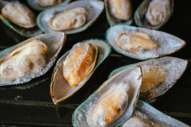 istock Frozen mussels on black plate. 1901388997