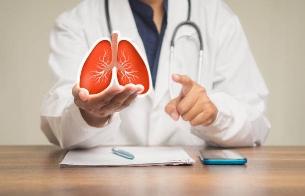 istock Doctor in a uniform holding a lung shape symbol while sitting at a table. 1901392084