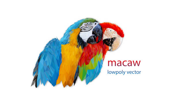 polygon graphics two bird macaw parrot isolated on a white background vector illustration - branch bird flying pets点のイラスト素材／クリップアート素材／マンガ素材／アイコン素材