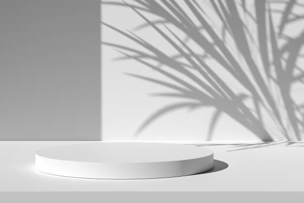 istock White, round podium or pedestal on the table with plant shadow on the wall background. 1901489948