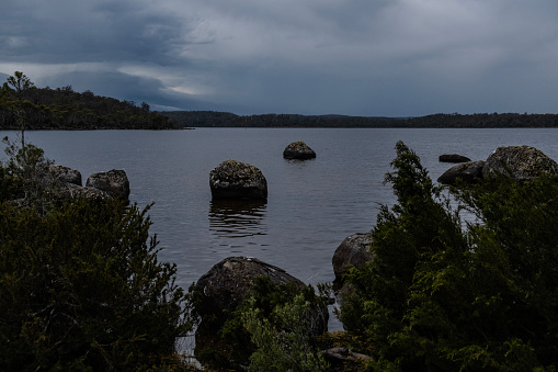 Morning mood at a lake in Telemarken, southern Norway. Pine tree in the foreground. Heavy but ambient clouds