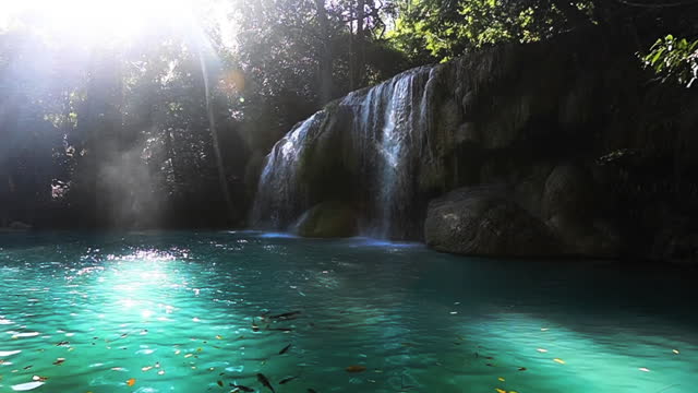Waterfall, Nature, Forest, Rainforest, Landscape - Scenery
Tropical Climate,Thailand,Sunrise - Dawn,Beauty In Nature,
Falling Water - Flowing Water,Sunlight,Tourism,
Travel,Water,Idyllic, Stream - Body of Water,Morning,Spray,Sunbeam,Steam,Fog,