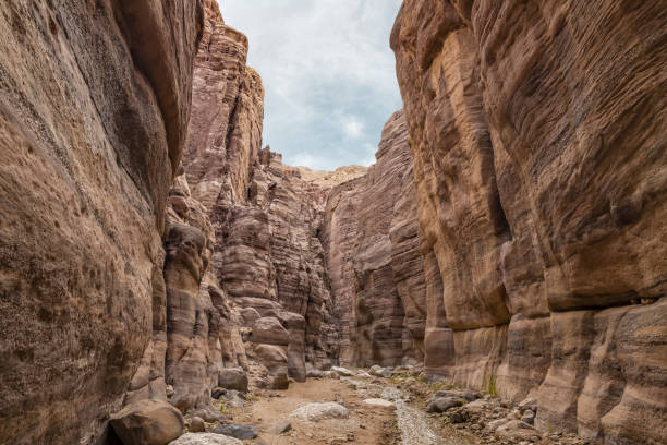 istock A shallow  stream flows between rocks painted with intricate natural patterns at the start of the Wadi Numeira walking trail in Jordan 1901501804