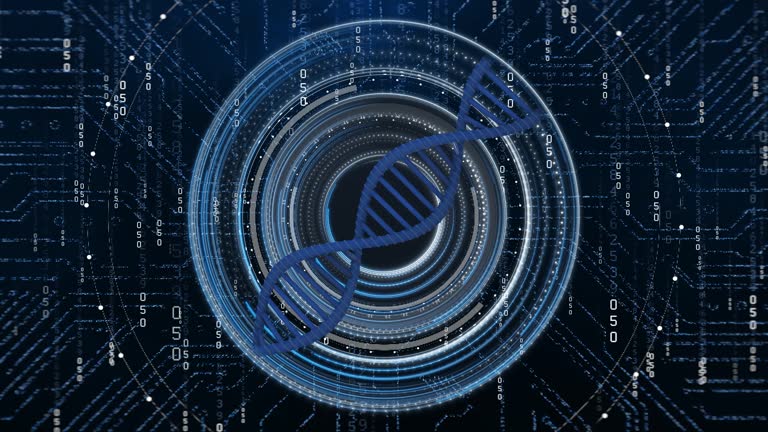 DNA Analysis Computer HUD