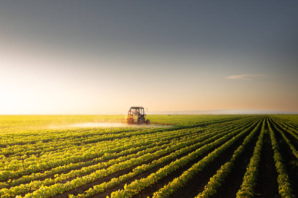 istock Tractor spraying soybean crops field 1901542092