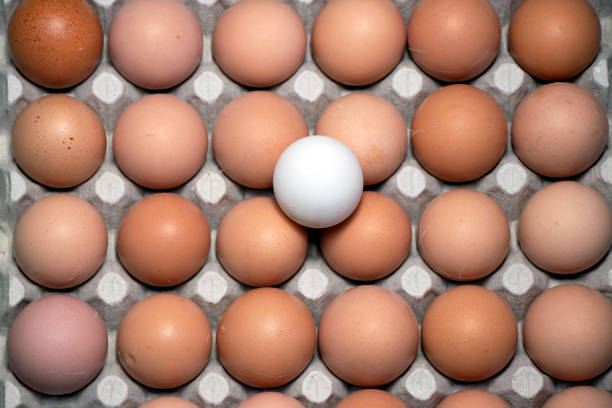 a white egg placed on a group of brown egg - poached egg ストックフォトと画像