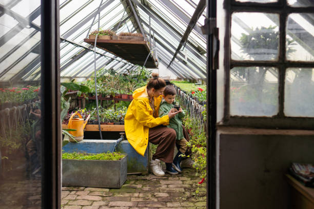istock Learning about plants in our greenhouse 1901614535