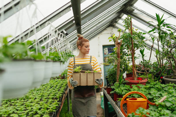 istock Female botanist in a nursery garden 1901623542