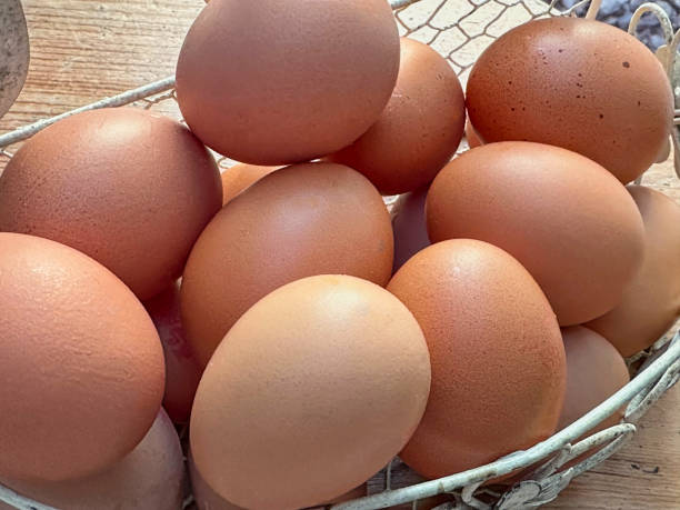 istock Close-up photograph of chicken eggs 1901637297