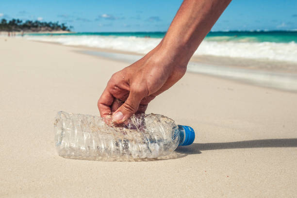istock volunteer collects plastic bottles from the ocean shore 1901754208