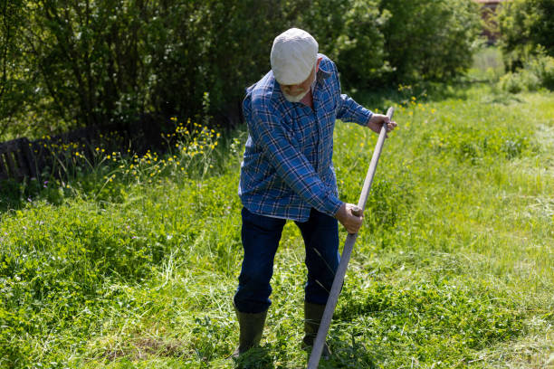 istock A farmer is scything tall grass in a green field 1901765355