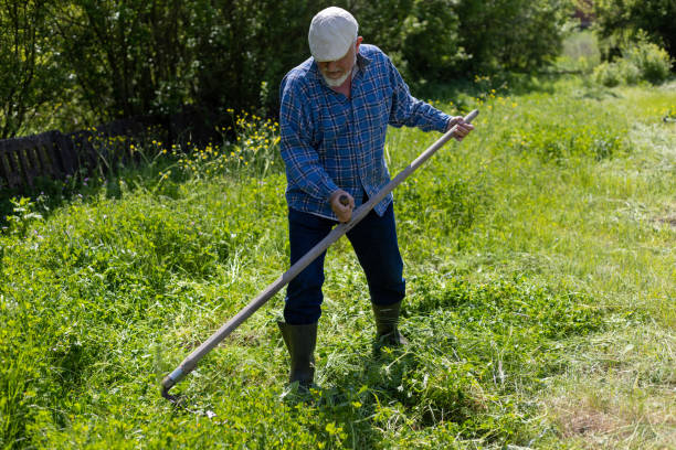istock A farmer is scything tall grass in a green field 1901765357