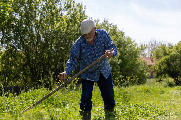 istock A farmer is scything tall grass in a green field 1901765402