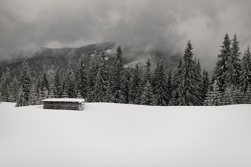 beautiful winter landscape of snowy forest of fir trees in the mountains and hut in snowy meadow
