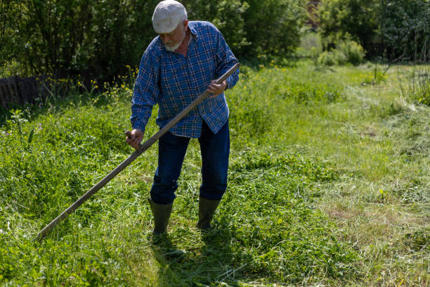 istock Male worker in green field scything tall grass. 1901765445