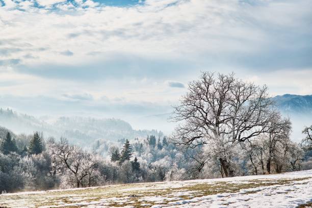 istock Winter landscape of field with mountains 1901771909