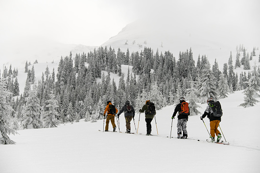 rear view of group of travelers, male skier tourists with backpacks hiking on skis in deep snow. Winter forest and snow covered hill on background. Ski touring concept