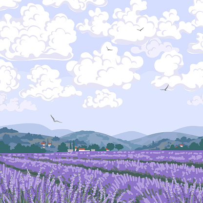 Simple blooming lavender field scenery. Serenity nature landscape with purple plants, mountains and flying birds in sky. Vector minimalistic illustration.