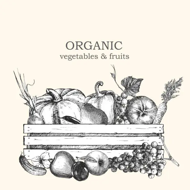 Vector illustration of Hand-drawn illustration of vegetables and fruits in box. Vector