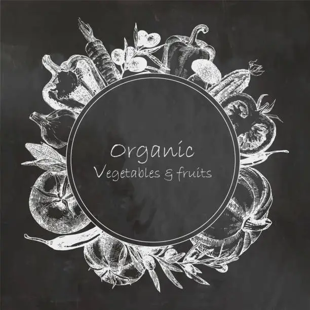Vector illustration of Hand-drawn illustration of vegetables. Frame. Vector
