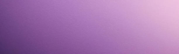 istock Abstract light pink purple pastel paper texture background. Elegant background with space for design copy space. Gradient. Web banner wide panoramic. 1901851456