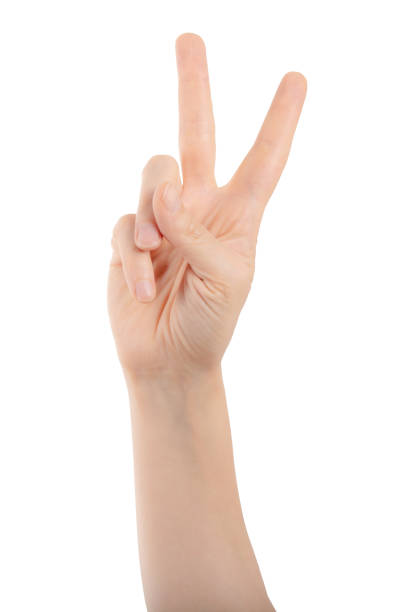 istock Two fingers raised up isolated on white background. Gesture hand concept. Hand showing victory sign (V sign) on white background. 1901875006