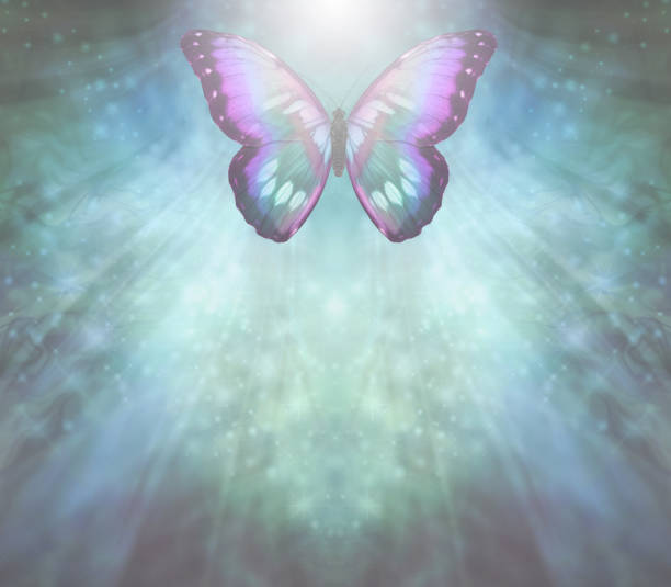 istock Big Spiritual Butterfly message background 1901883357