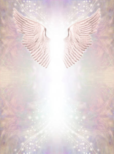 pair of angel wings against a wispy ethereal pale pink background ideal accreditation purposes