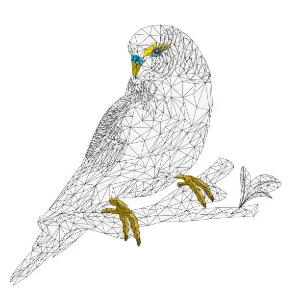 Vector illustration of Green  parakeet Budgerigar, home pet , pet parakeet  or budgie or shell parakeet outline low-polygon on a white background vintage vector illustration editable hand draw