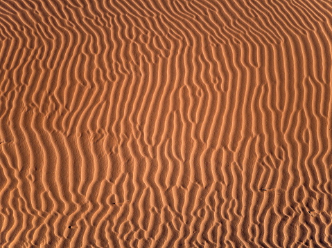 in Namib Rand Nature reserve