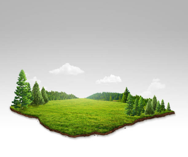 istock 3D illustration of forest landscape. empty space abstract illustration. eco design concept. 1901912639