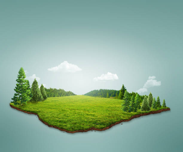 istock 3D illustration of forest landscape. empty space abstract illustration. eco design concept. 1901912652