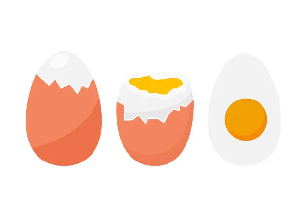 Vector illustration of Boiled brown egg in shell, cleaned and half sliced, vector illustration