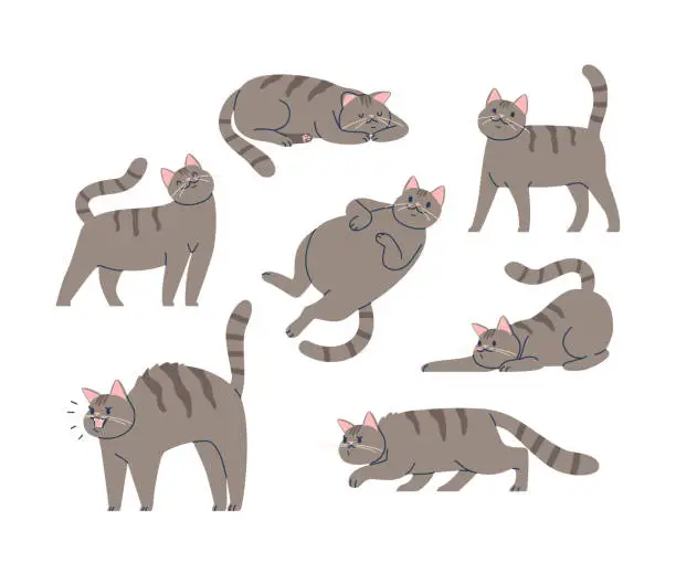 Vector illustration of Cat in Different Poses. Friendly, Trusting, Playful and Relaxed. Terrified, Predatory, Frightened and Irritated