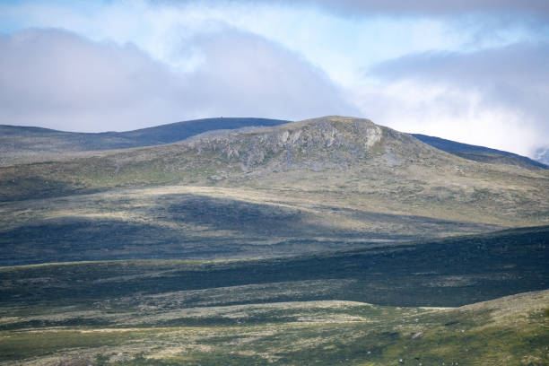 istock Wildlife, Dovrefjell, Norway - 2023 1901955109