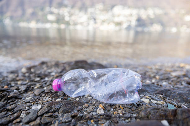 istock Water bottle left in nature, plastic bottle on the beach 1901967312
