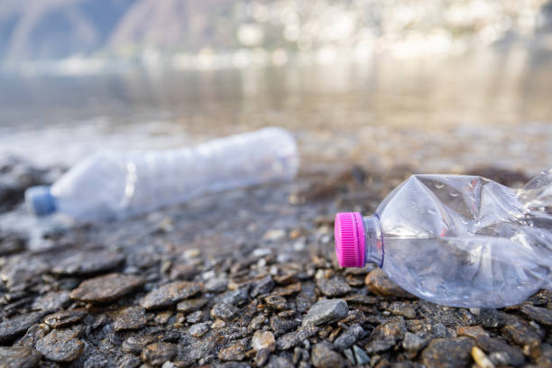 istock Water bottle left in nature, plastic bottle on the beach 1901967846