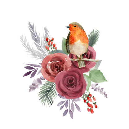 Watercolor christmas bouquet with roses and robin. Isolated on white background.
