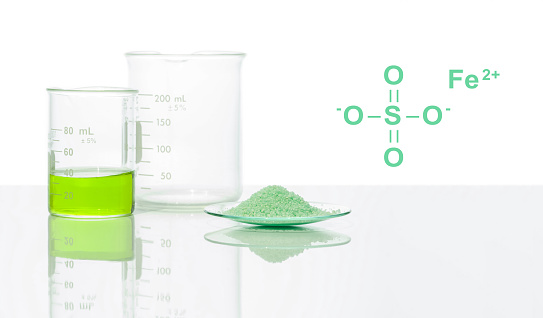 Ferrous Sulfate in chemical watch glass with chemical structure place next to Iron (II) sulfate liquid in Beaker. Side View