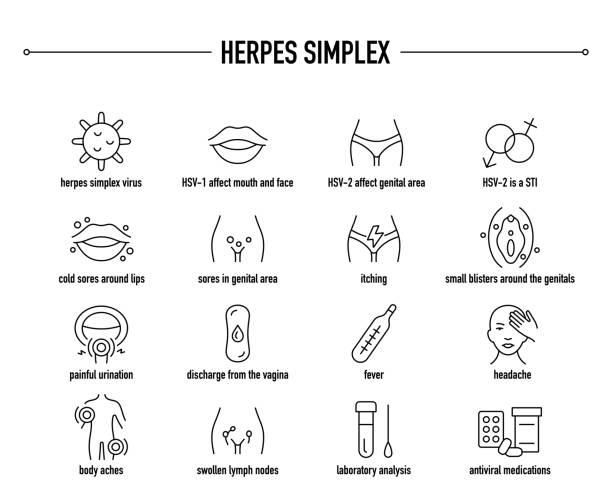 Herpes Simplex symptoms, diagnostic and treatment vector icons. Line editable medical icons. Herpes Simplex vector icon set genital herpes stock illustrations