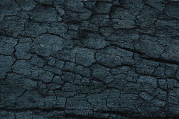 istock Burnt wood texture with black charcoal. for wallpapers and backgrounds 1901994156