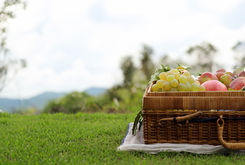 picnic basket with fruits and snacks on a green meadow